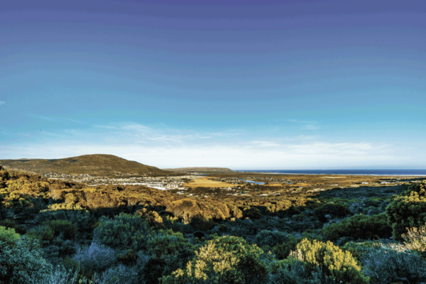 Coastal fynbos