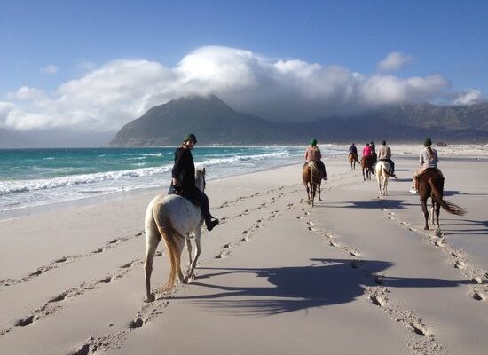 Fynbos Village Noordhoek Valley