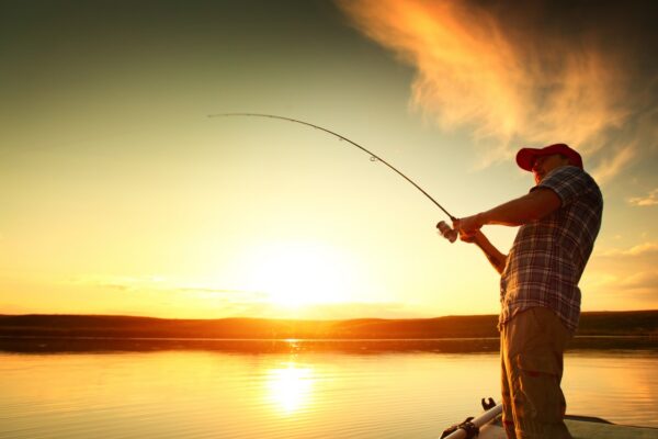 shutterstock_151047851 1