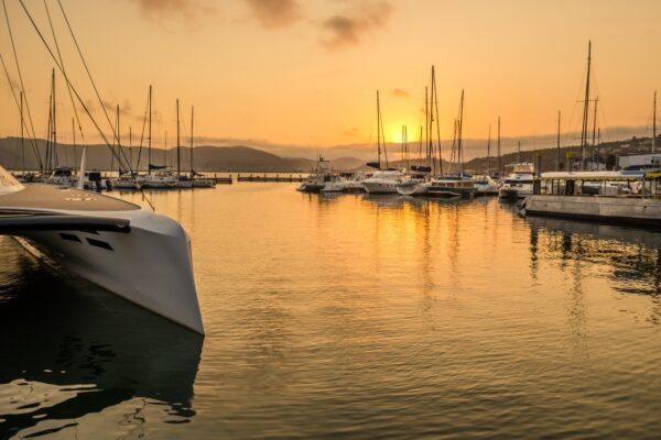 shutterstock_509184424 1
